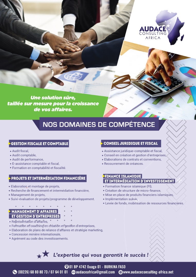 Flyer Audace Consulting Africa — Domaines de compétence